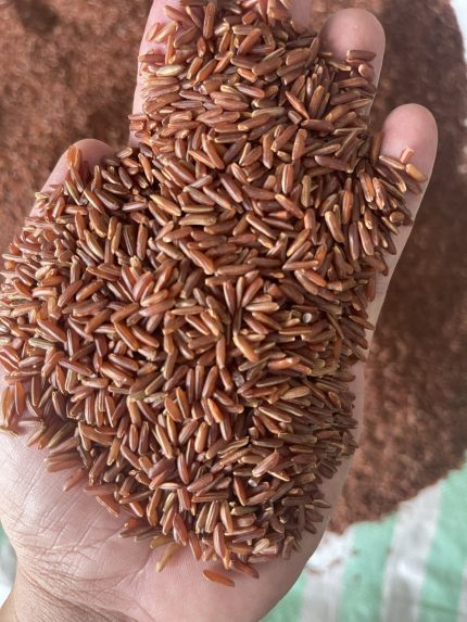 Red_Brown Rice